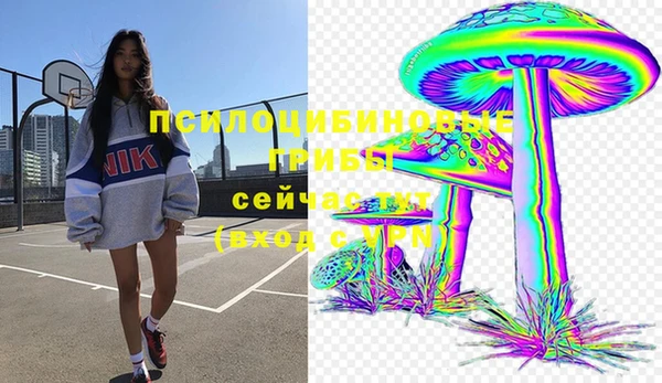 гидра Алзамай