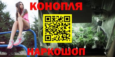 индика Краснодар