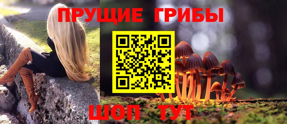 Волжский  Галлюциногенные грибы мицелий  Псилоцибиновые грибы MAGIC MUSHROOMS  Вход с VPN 
